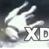 XD