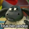 Memes con Frases #3🧠 17