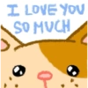 I LOVE YOU SO MUCH