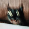 Michis cursed 23