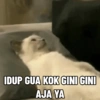 Kucing anomali 8