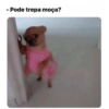 Novo ano novo stikitos 26
