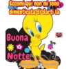Ciao buona giornata  6