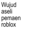 Wujud aseli pemaen roblox