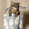 🐱•🙂Michi Moods🙂•🐱 7