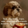 Acá lavando ropa. más adelante lavando dinero si Dios quiere