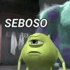 MEMES SELECIONADOS  14