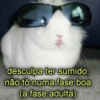 NÃO GRITA 🤫 15