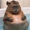 🦛✨️Capibara Pal Chat✨️🦛 10