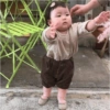 Rohee baby corean 1 25