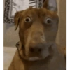  cat 5