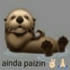 ainda paizin A