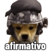 Perritos tácticos 🔥 14