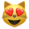 Emoji iphone 26