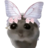 Mariamurax 25