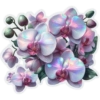 🌷 Hologrąphic Flowers 8