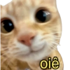Bichinhos do ZAP 3
