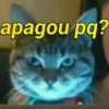 Gatinhos desconfiados 13