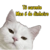 PARA WHATSAPP  15