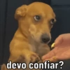 SOU EU NA VIDA 14
