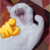 Meme jomok 14