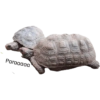 Pets 6