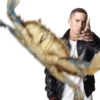 Fih 6