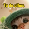 Os melhores memes  9