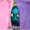 SOU EU NA VIDA 7