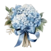 𓏵  ♡ .. cute blue 𓈄 ⁺  ׅ 29