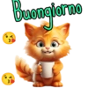 3 3 Buongiorno
