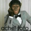 achei fofo