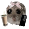 Hamster 5