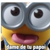 Lolquemal 29