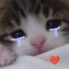 CHarley_Stickers