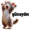 günaydın