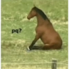 pq?