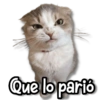 Que lo parió