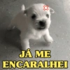 JÁ ME ENCARALHEI