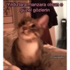 Yıldızlara manzara olsun güzel gözlerin @miawlabakim