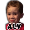 ALV