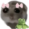 Mariamurax 20