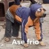 Hace frío❄️🌨️✨ 10