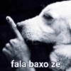 fala baxo zé