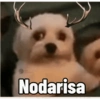 Caras  26