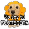 Yo soy tu FLORECITA