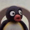 PINGU 7