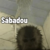 Macaquinhos 🐒 8