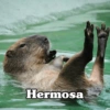 Hermosa