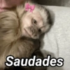 L Saudades